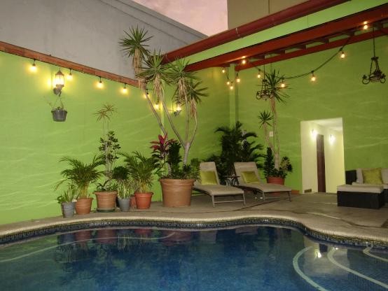 Piscina interior con pared verde, plantas y área de descanso